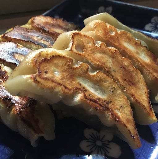 福岡の屋台で食べることができる美味しい餃子